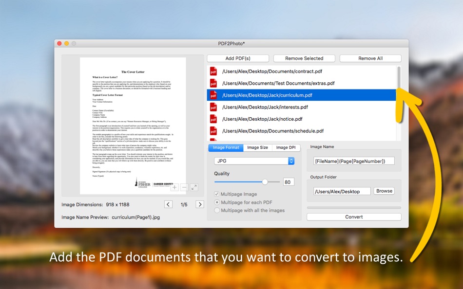 PDF-IMG Converter Plus - 1.1 - (macOS)