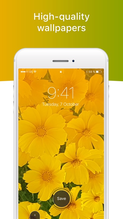 Live Wallpapers X