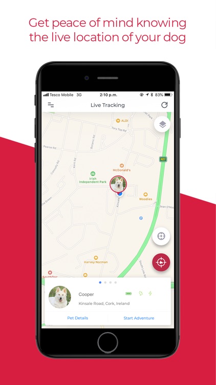 PawTrails-GPS+Activity Tracker