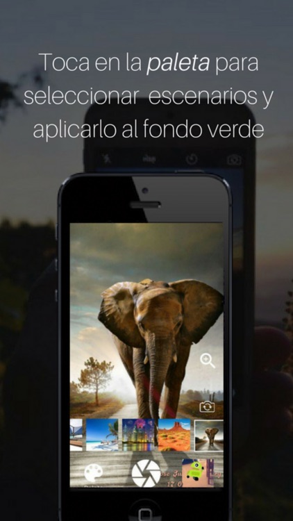 Tecno Boda screenshot-4