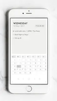 flink - calendar note iphone screenshot 2