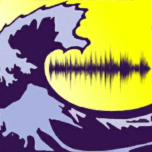 Wav Voice Tune Icon