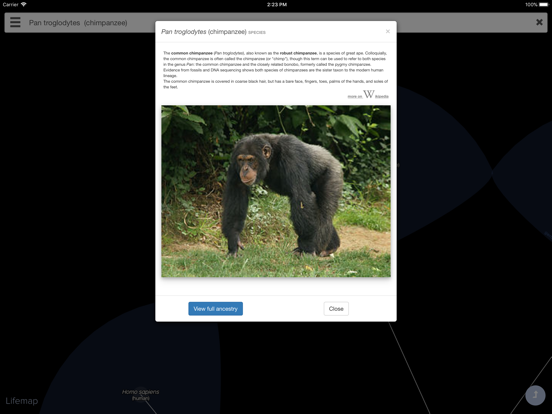 Screenshot #6 pour Lifemap - Tree of Life