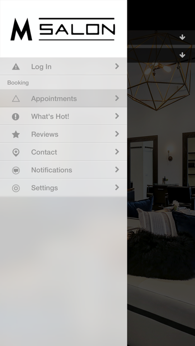 M Salon Houston screenshot 2