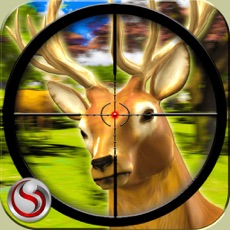 Activities of Deer Hunting - Sniper Shooting