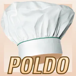 POLDO pocket app icon