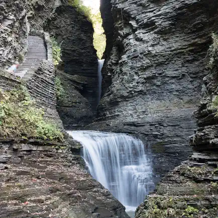 Watkins Glen State Park Cheats