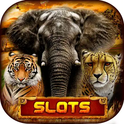 Safari Sundown Slots Casino Читы