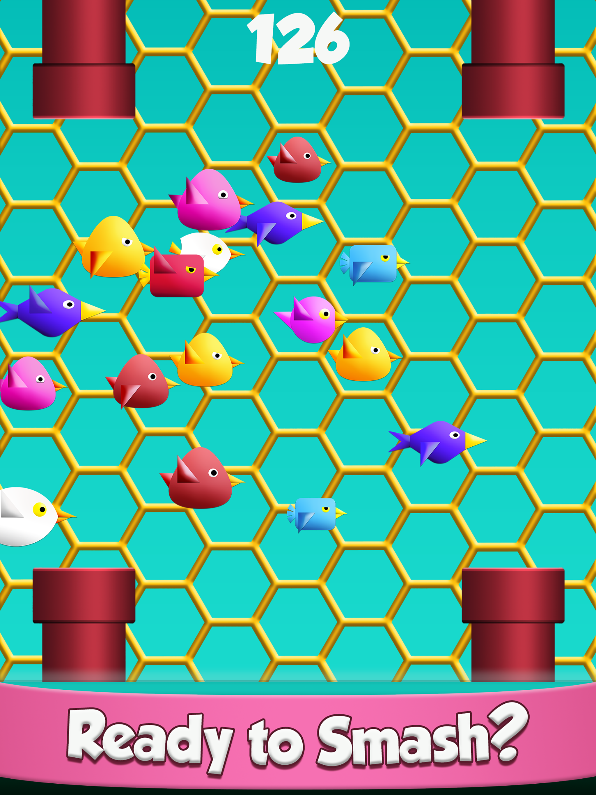 Cool Birds Game - Fun Smash