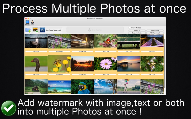 Screenshot #3 for Batch Photo Watermark