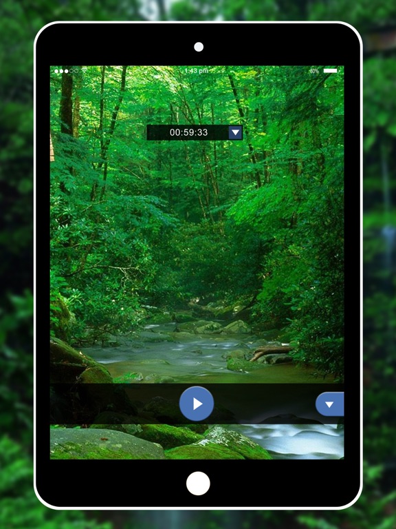 Screenshot #5 pour Relaxing Nature - Forest Sounds