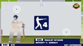 Game screenshot Touch Cricket mod apk