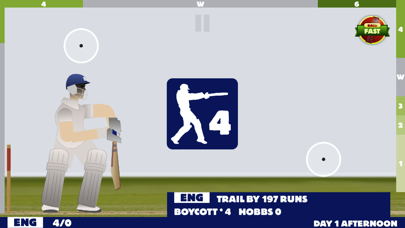 Touch Cricket : Test Match Special screenshot 1