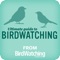 Download the Ultimate Guide to Birdwatching, a special publication from the publisher of BirdWatching magazine that is designed to help you become a better birdwatcher