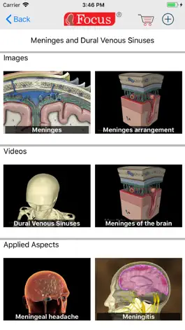 Game screenshot NEUROANATOMY - Digital Anatomy hack