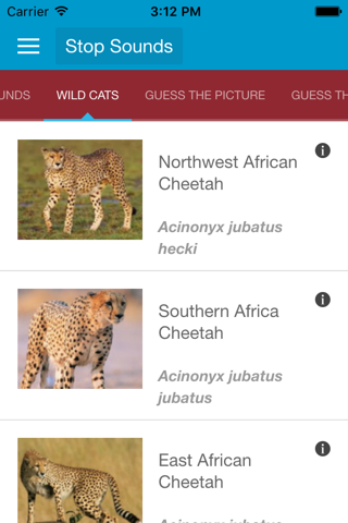 Wild Cats Sounds and Info screenshot 2