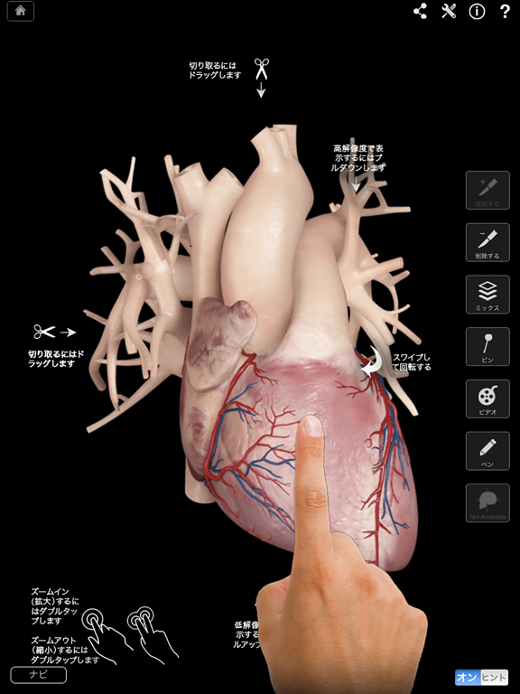 Heart Pro IIIのおすすめ画像1