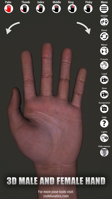 Manus - Hand reference for art screenshot 2