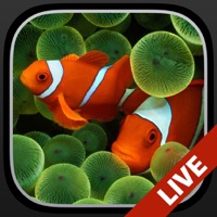 Aquarium Live Hintergründe + apk
