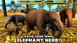 Game screenshot Elephant Simulator apk