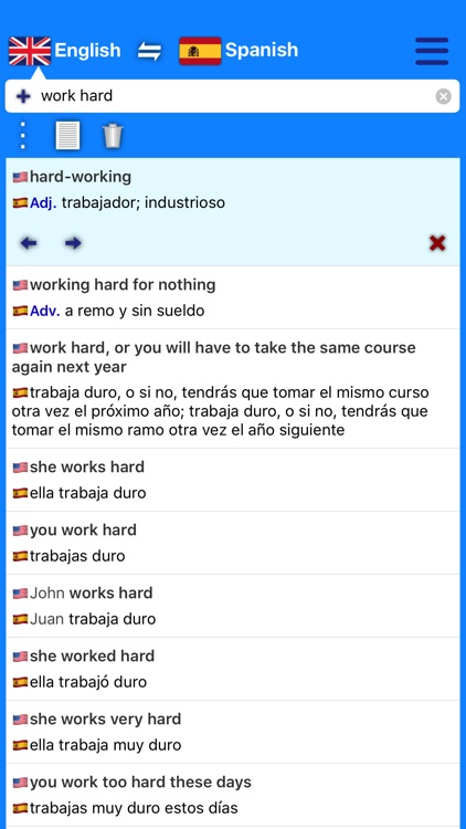 Dictionary Plus (Spanish)