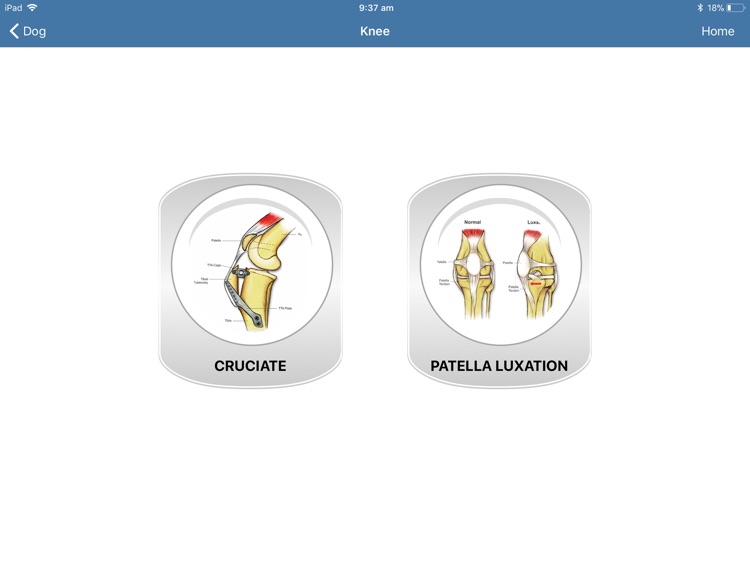 Veterinary iConsult screenshot-3