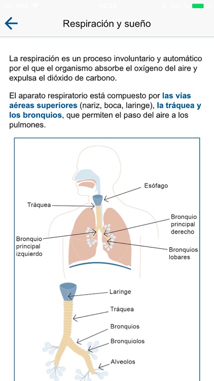 Appnelia screenshot-3