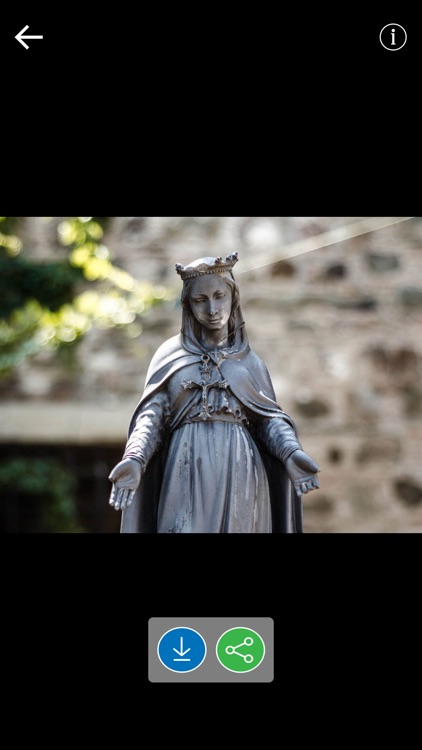 Daily Holy Bible Verses & word