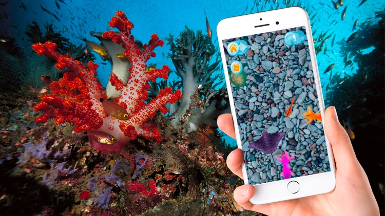 Aquarium for real fish