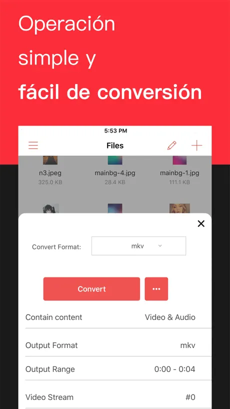 Conmutador de formatos