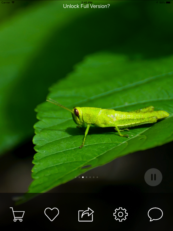 NatureScapes Relaxing Soundsのおすすめ画像1