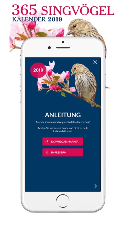 365 Singvögel 2019 – DuMont