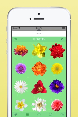 Flowers Stickers for Messages screenshot 4