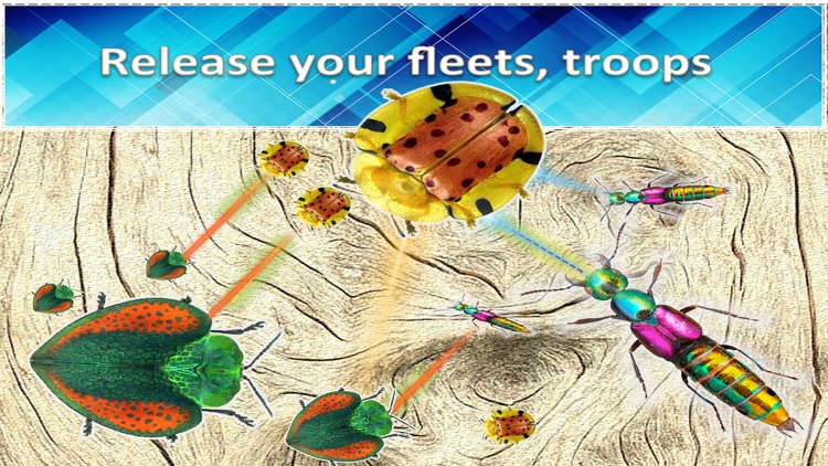 Battles of Beetles - Bosses clash !