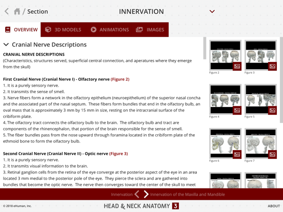 Screenshot #5 pour Head and Neck Anatomy 3