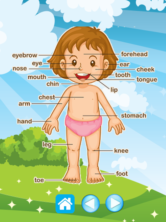 Fun Phonetic Spelling Words For Vocabulary Builder iPad screenshot