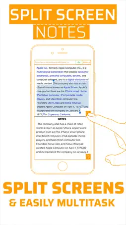 Split Screen Notes: Multitask With Browser & Notes screenshot 1