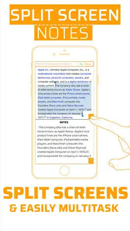 Game screenshot Split Screen Notes: Multitask With Browser & Notes mod apk