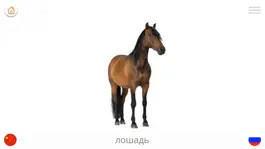 Game screenshot Играть и изучать китайский язык hack