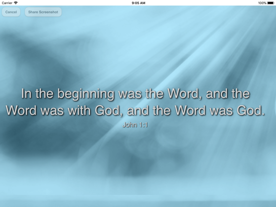 VerseVIEW Mobile Bible iPad screenshot 5 - Reference app