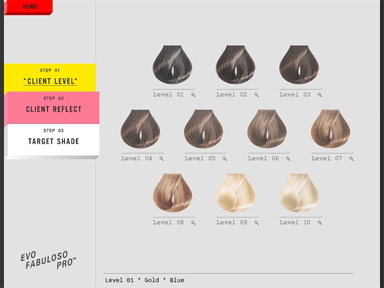 Evo Fabuloso Colour Chart