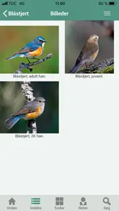 Fuglefeltguiden screenshot #3 for iPhone
