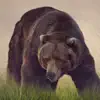 Bear Sounds! App Delete