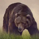 Bear Sounds! App Cancel