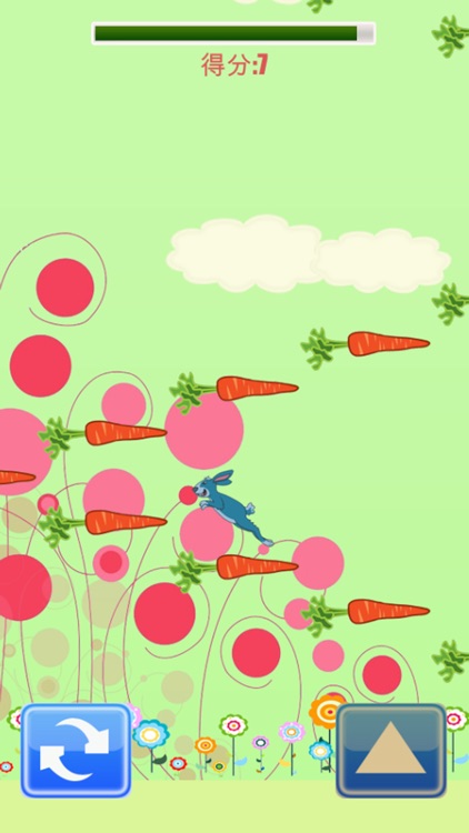 兔子复仇记-疯狂兔子