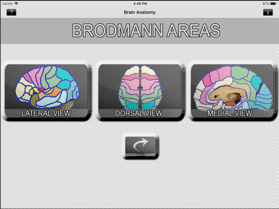 Screenshot #5 pour Brain Anatomy