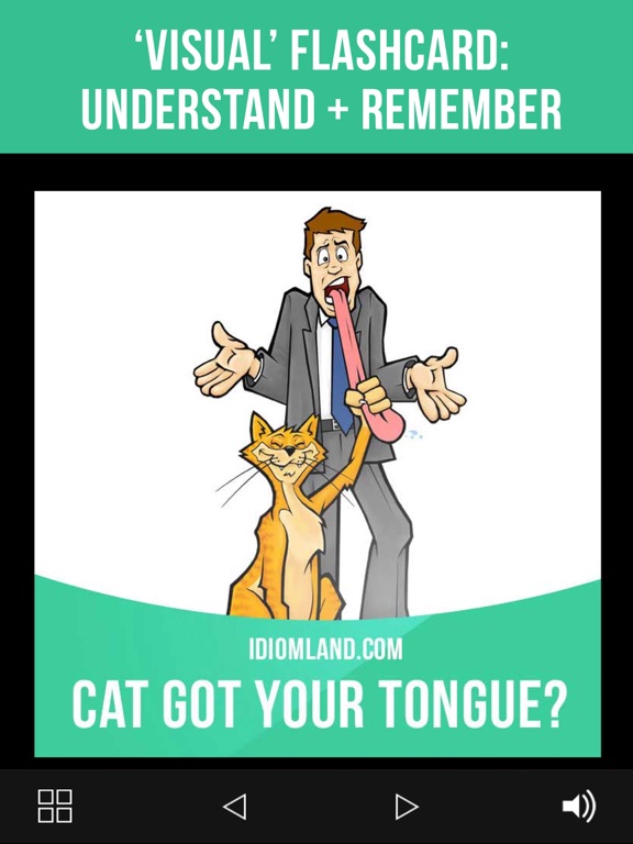 English Cards: 5500 Flashcards iPad screenshot 4 - Education app