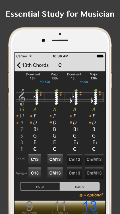 Chord & Triad Part II screenshot-4