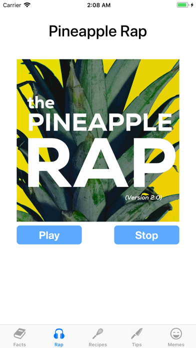 The PineAPP screenshot 2