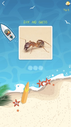 PicWordguess(圖4)-速報App